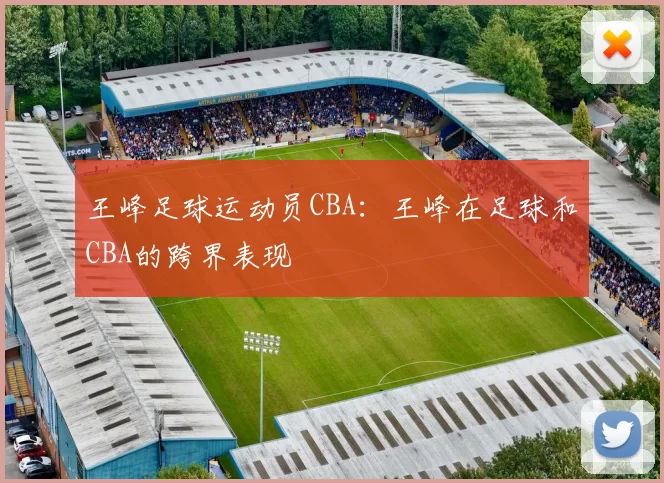 王峰足球运动员CBA：王峰在足球和CBA的跨界表现
