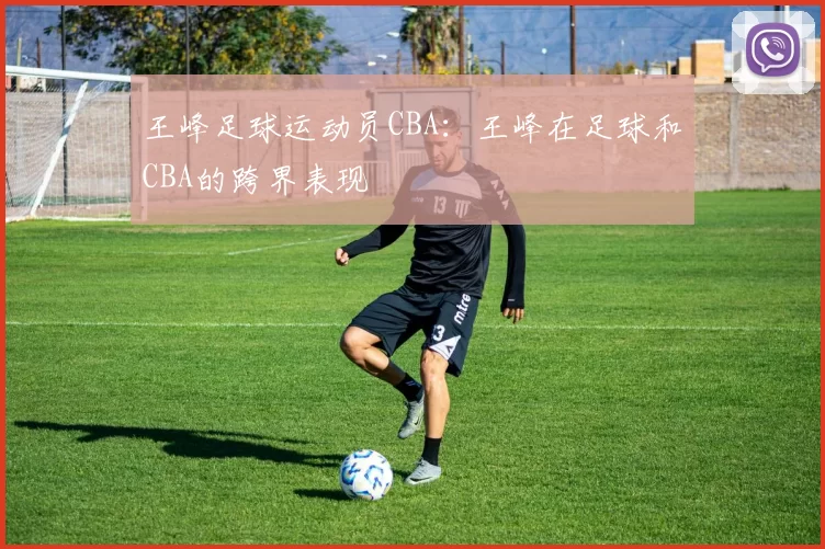 王峰足球运动员CBA：王峰在足球和CBA的跨界表现