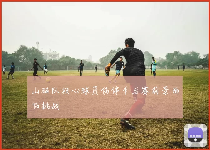 山猫队核心球员伤停季后赛前景面临挑战