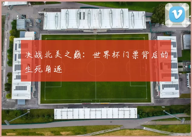 决战北美之巅：世界杯门票背后的生死角逐