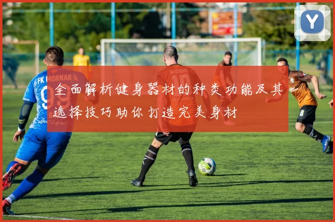 全面解析健身器材的种类功能及其选择技巧助你打造完美身材