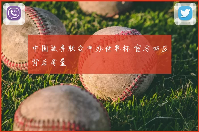 中国放弃联合申办世界杯 官方回应背后考量