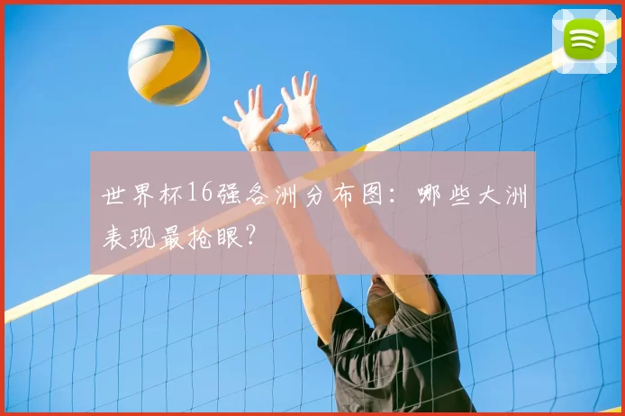 世界杯16强各洲分布图：哪些大洲表现最抢眼？