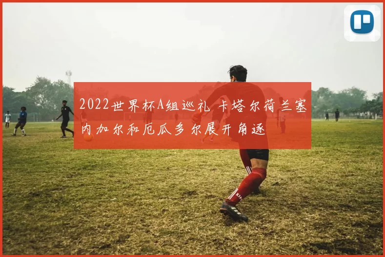 2022世界杯A组巡礼 卡塔尔荷兰塞内加尔和厄瓜多尔展开角逐