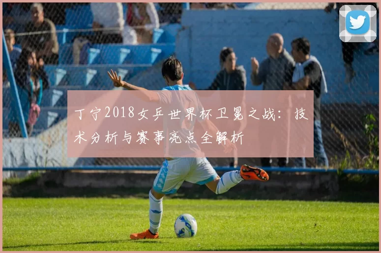 丁宁2018女乒世界杯卫冕之战:技术分析与赛事亮点全解析