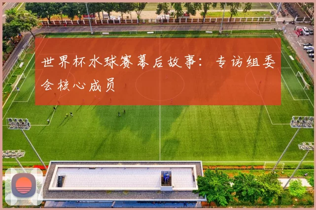 世界杯水球赛幕后故事：专访组委会核心成员