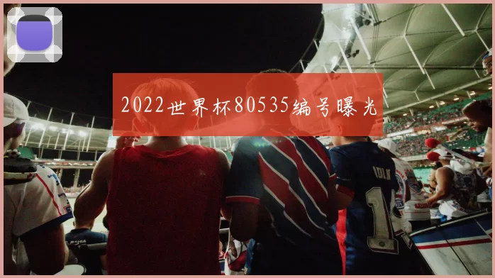 2022世界杯80535编号曝光