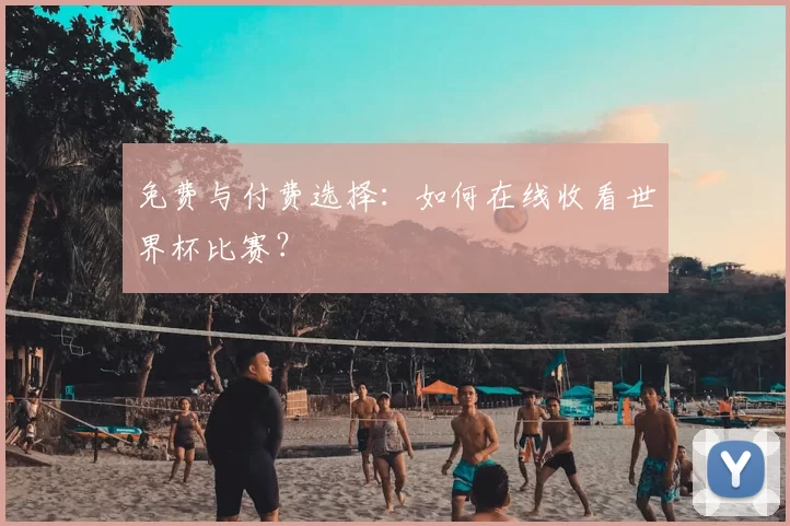 免费与付费选择：如何在线收看世界杯比赛？