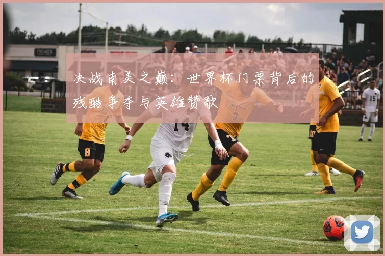 决战南美之巅：世界杯门票背后的残酷争夺与英雄赞歌