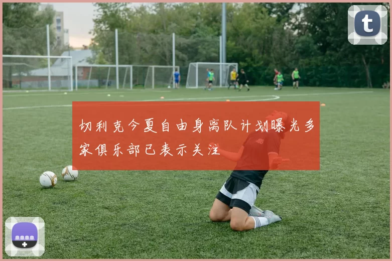 切利克今夏自由身离队计划曝光多家俱乐部已表示关注