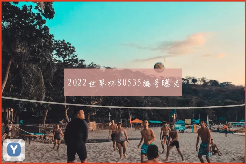 2022世界杯80535编号曝光