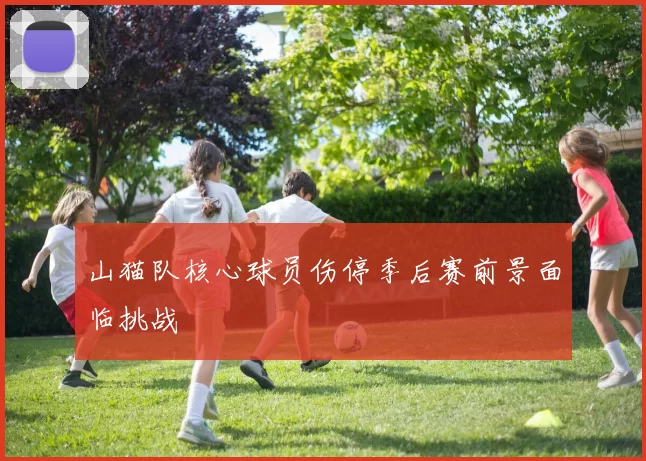 山猫队核心球员伤停季后赛前景面临挑战