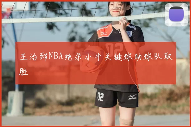 王治郅NBA绝杀小牛关键球助球队取胜
