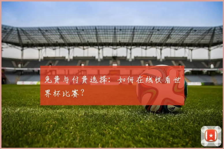 免费与付费选择：如何在线收看世界杯比赛？
