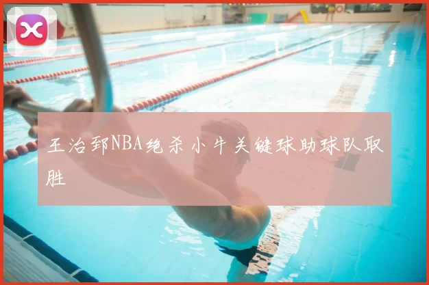 王治郅NBA绝杀小牛关键球助球队取胜