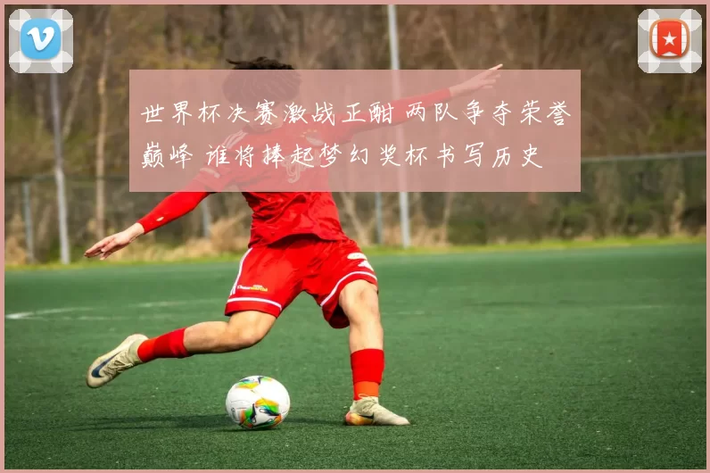 世界杯决赛激战正酣 两队争夺荣誉巅峰 谁将捧起梦幻奖杯书写历史