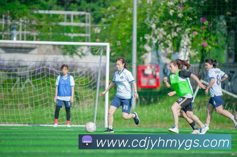 多媒体互动体验